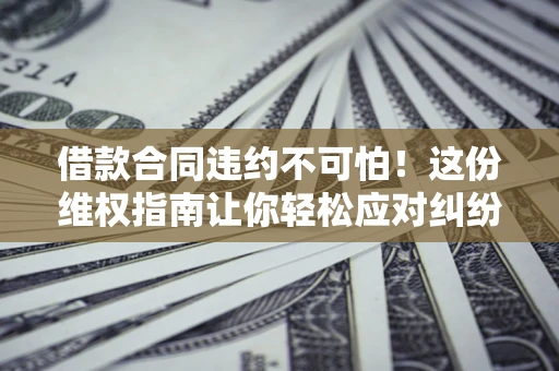 武汉借款合同违约不可怕！这份维权指南让你轻松应对纠纷